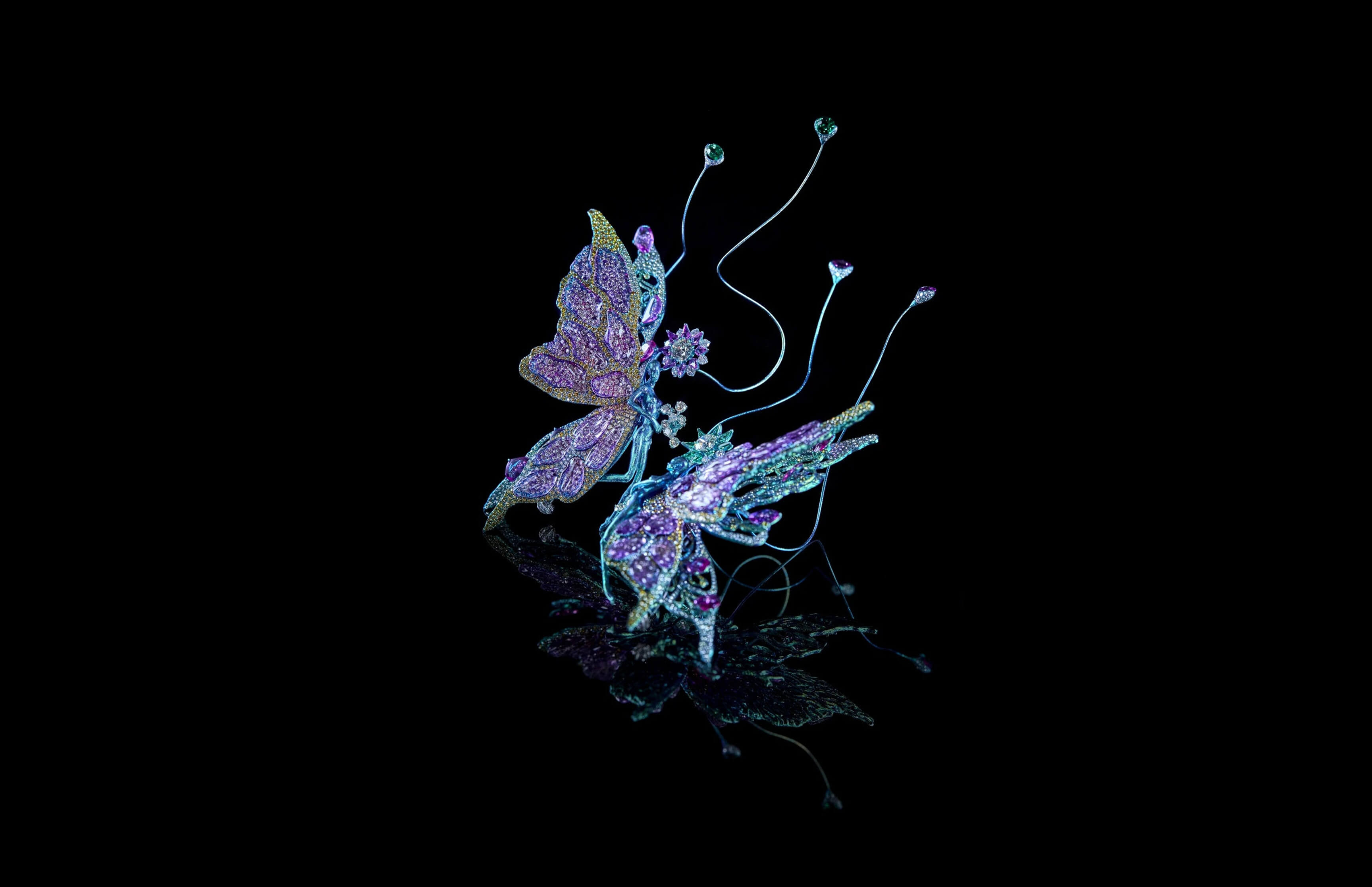 Butterfly Nebula, 2018
