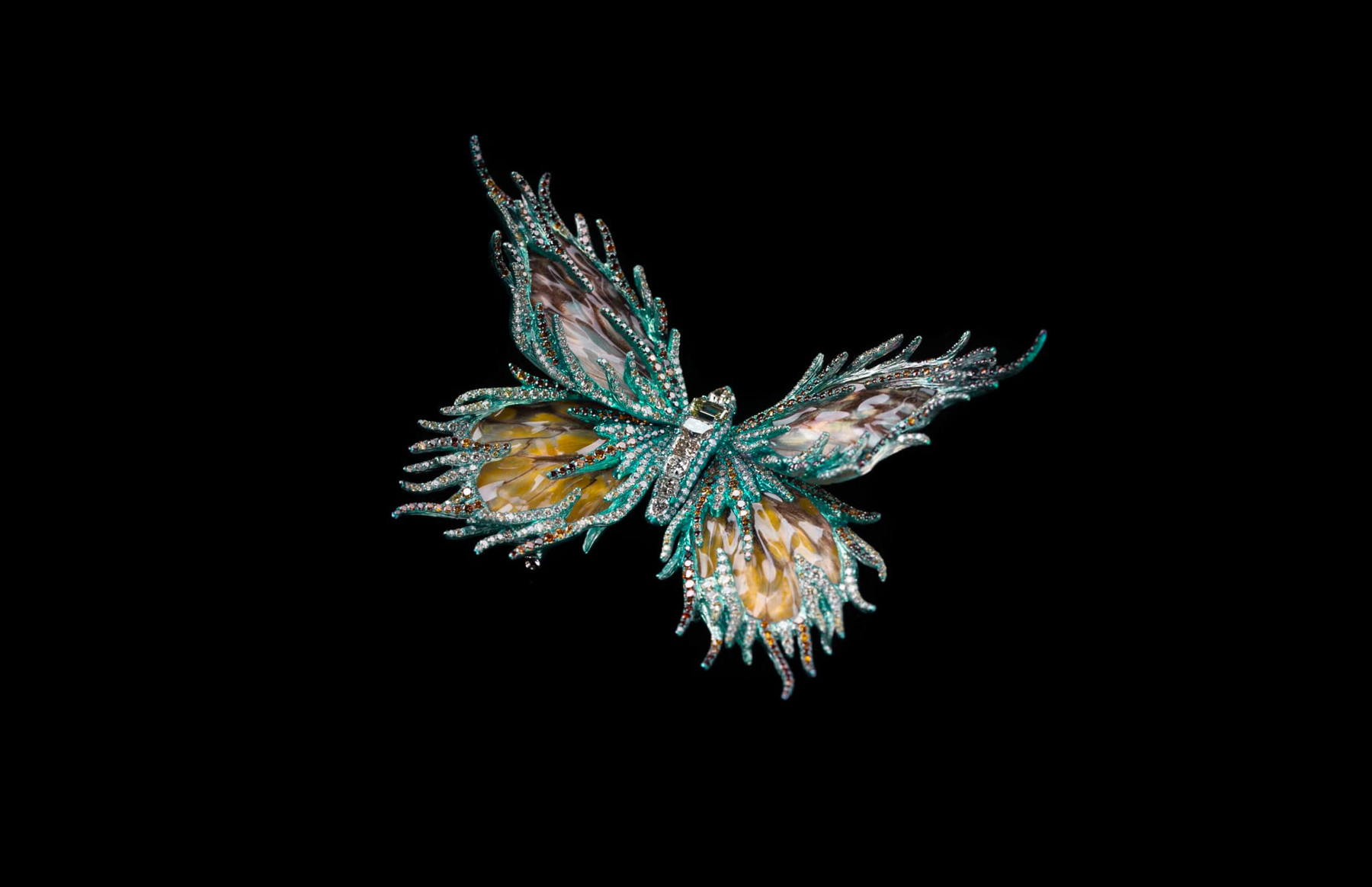Forever Dancing - Bright Star, 2013